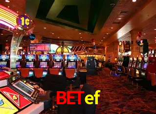 betef Curitiba - Live Status